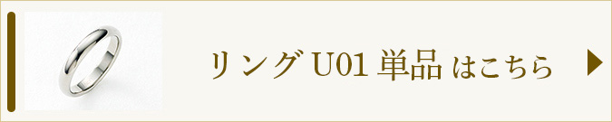 U01へのリンク