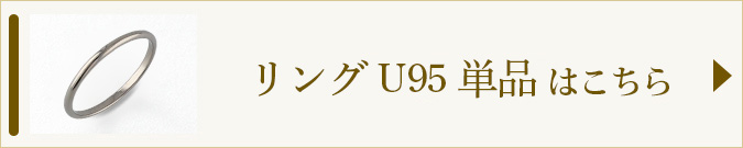 U95へのリンク