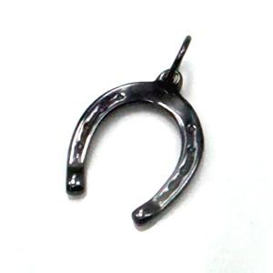 【チタンアクセサリー　レジエ】ペンダントトップ