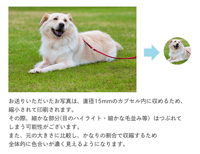 フォトプリント注意事項2