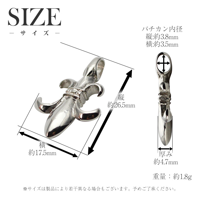 サイズ画像